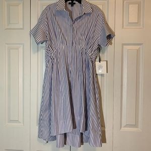 Victoria Beckham Dress